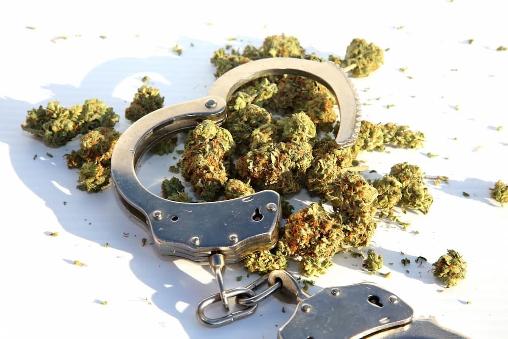 marijuana defense lawyer in custer sd